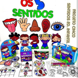 Projeto Os Cinco Sentidos – Atividades Sensoriais para Crianças